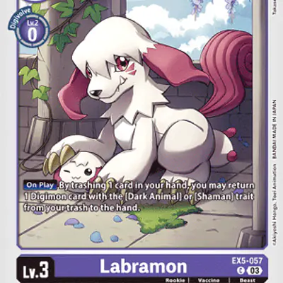 Labramon imagen principal
