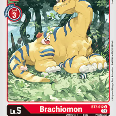 Brachiomon imagen principal