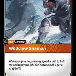 Wildclaw Shaman - Master