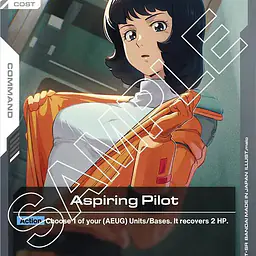 Aspiring Pilot - Master