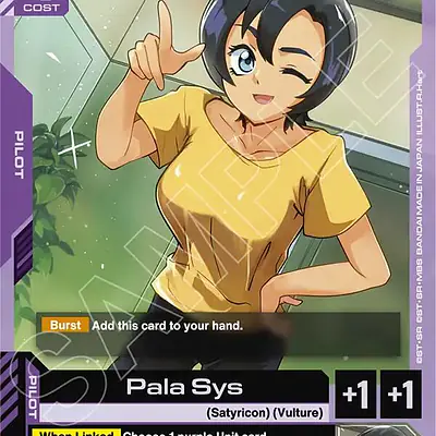 Pala Sys imagen principal