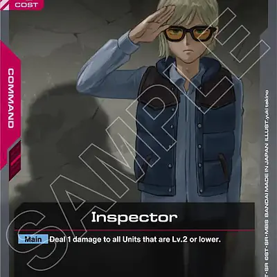 Inspector imagen principal