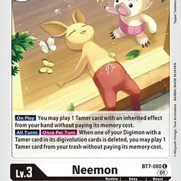 Neemon - Master