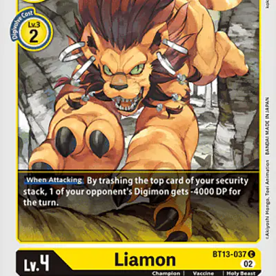 Liamon imagen principal