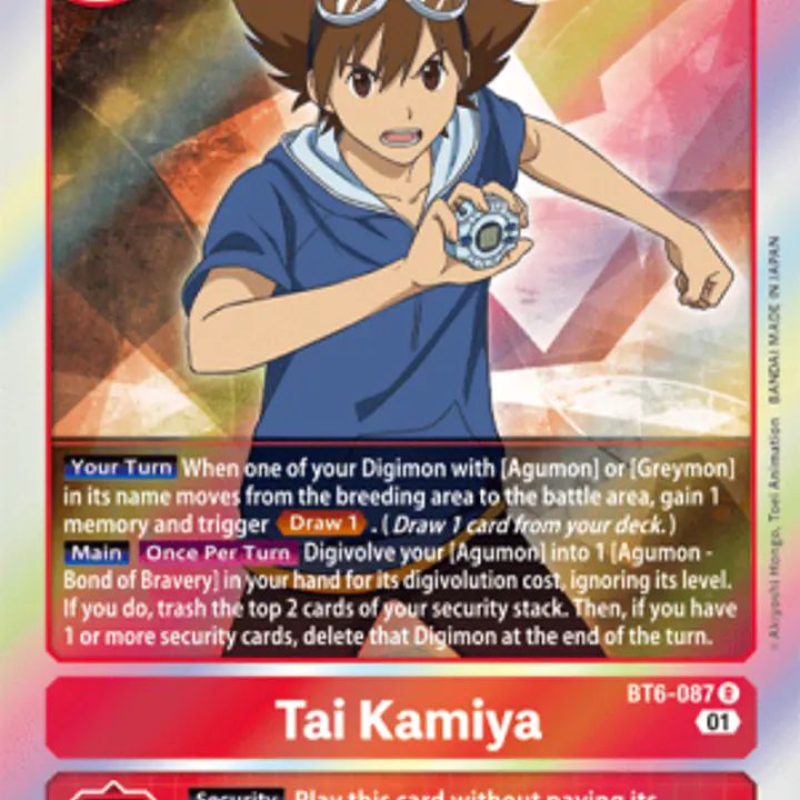 Tai Kamiya - Master