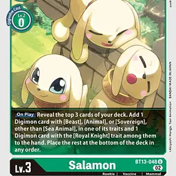 Salamon - Master
