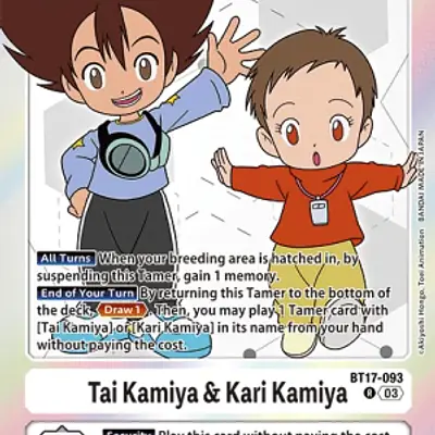 Tai Kamiya & Kari Kamiya imagen principal