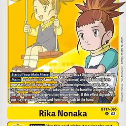 Rika Nonaka - Master